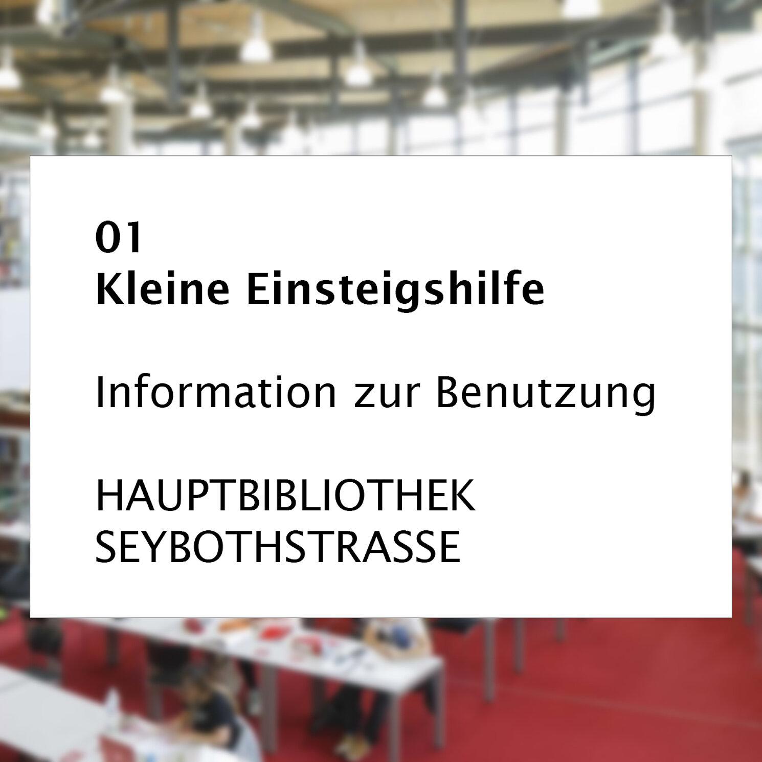 Flyer Nummer 1: Kleine Einstiegshilfe Hauptbibliothek Seybothstraße