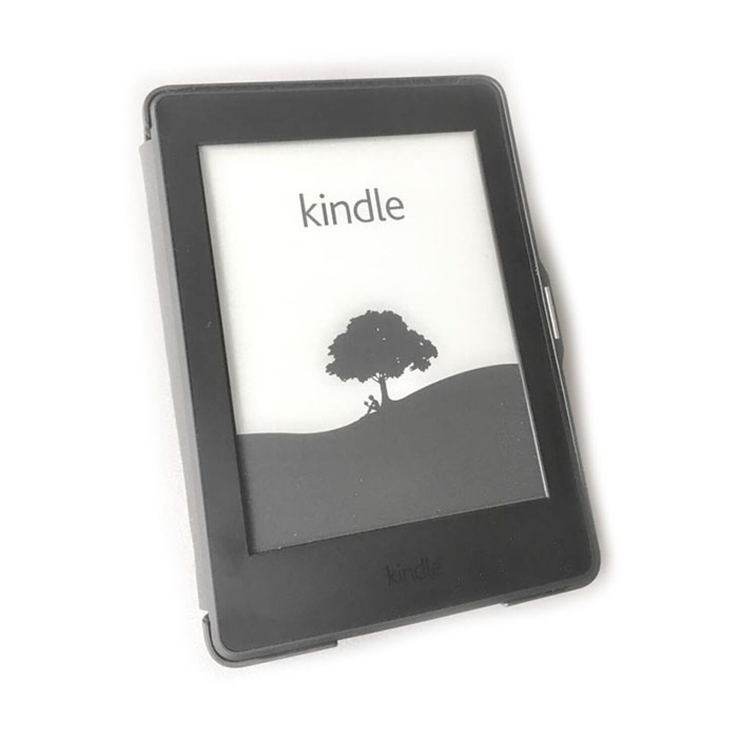 E-Book-Reader, Kindle